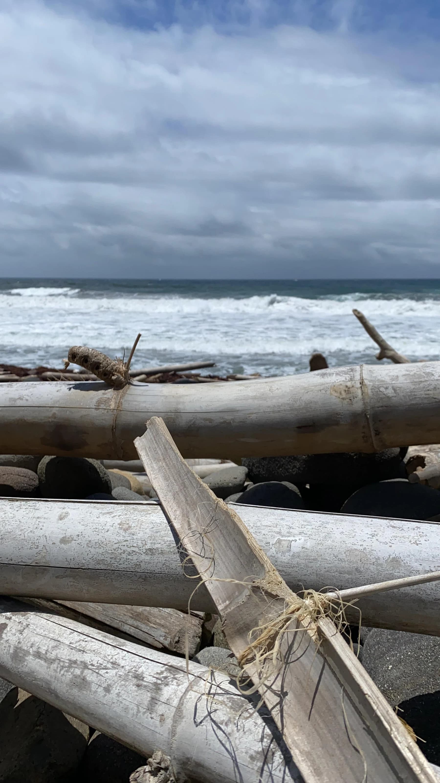Bois flotté et mer en mouvement pour évoquer l’observation intérieure